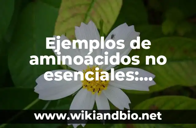 Ejemplos de aminoácidos no esenciales: Definición según Autor, ¿qué es?