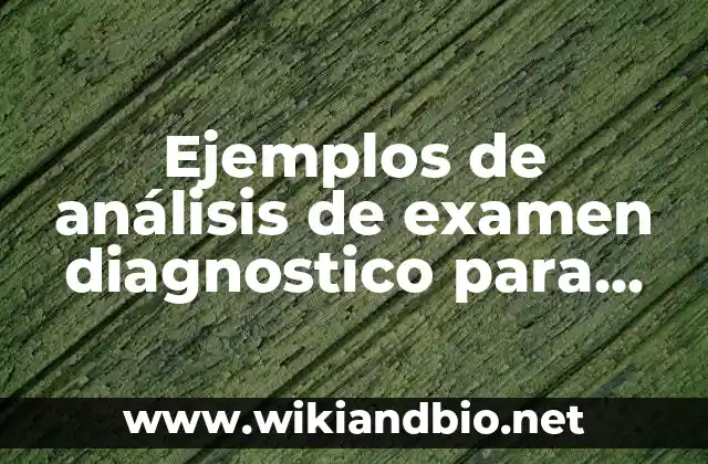 Ejemplos de análisis de examen diagnostico para primaria: Definición según