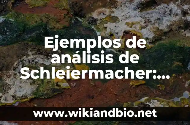 Ejemplos de análisis de Schleiermacher: Definición según Autor, ¿qué es?