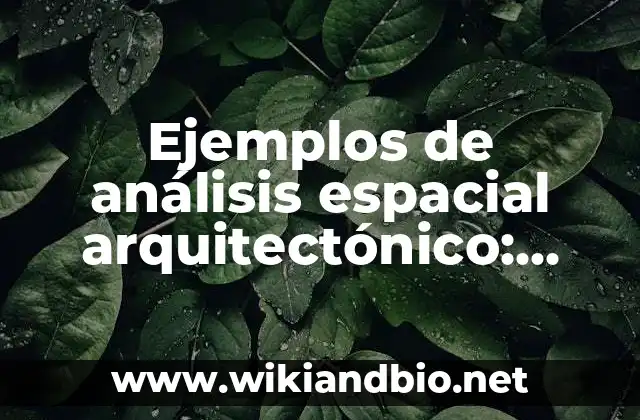 Ejemplos de análisis espacial arquitectónico: Definición según Autor, qué