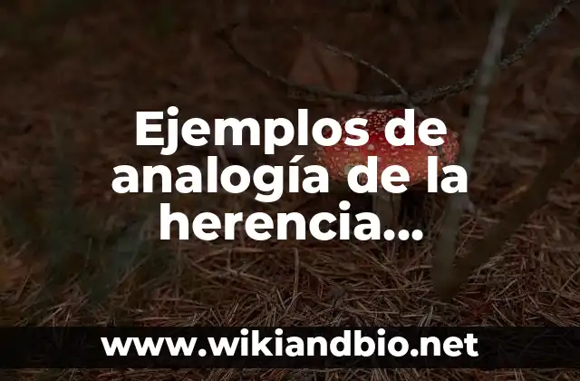 Ejemplos de analogía de la herencia informática: Definición según Autor