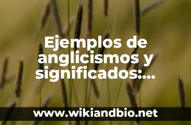 Ejemplos de anglicismos