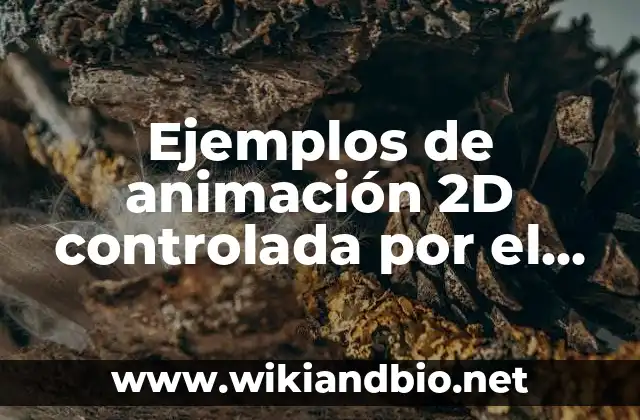 Ejemplos de animación 2D controlada por el usuario: Definición según Autor