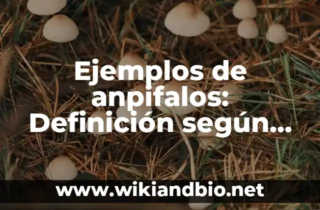 Ejemplos de anpifalos: Definición según Autor, qué es, Concepto y Significado