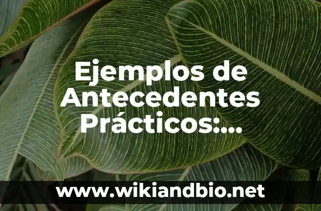 Ejemplos de Antecedentes Prácticos: Definición según Autor, qué es, Concepto y Significado