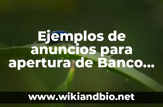 Ejemplos de anuncios para apertura de Banco Azteca: Definición según Autor