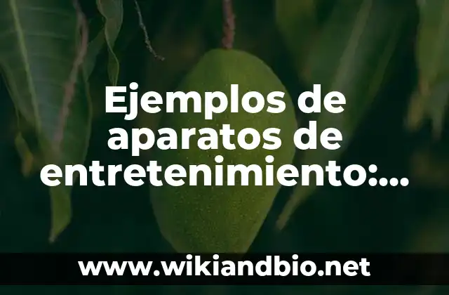 Ejemplos de aparatos de entretenimiento: Definición según Autor, qué es, Concepto y Significado