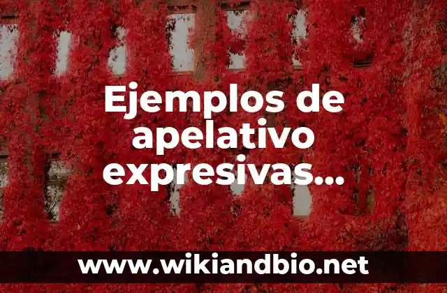 Ejemplos de apelativo expresivas metalinguistica referencial poetica y fatica