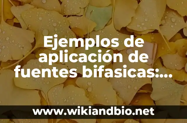 Ejemplos de aplicación de fuentes bifasicas: Definición según Autor, qué es, Concepto y Significado