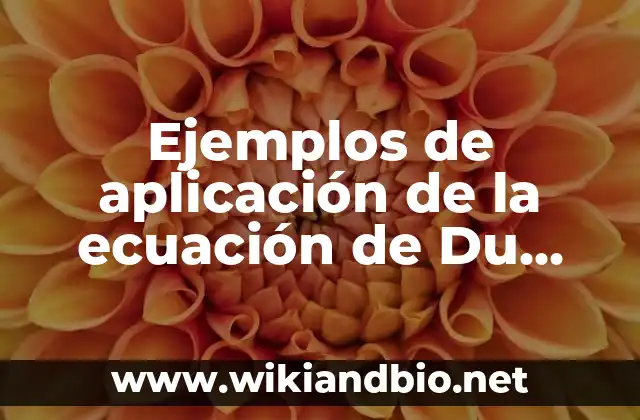 Ejemplos de aplicación de la ecuación de Du TDS PDV: Definición según