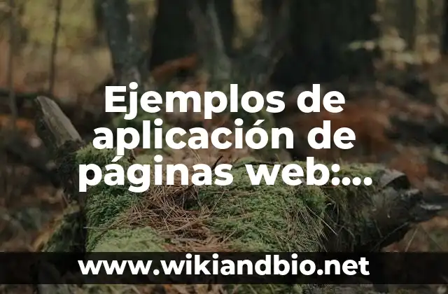 Ejemplos de aplicación de páginas web: Definición según Autor, ¿qué es?