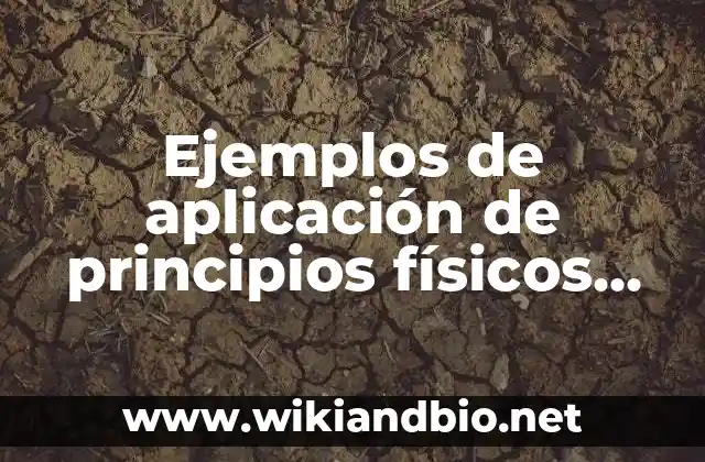 Ejemplos de aplicación de principios físicos en la vida real: Definición