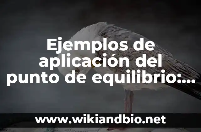 Ejemplos de aplicación del punto de equilibrio