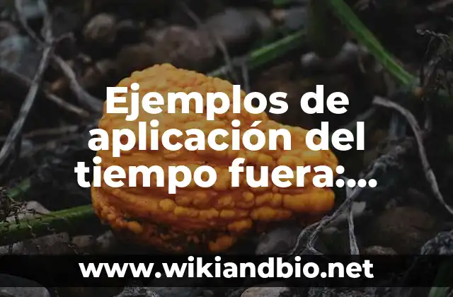 Ejemplos de aplicación del tiempo fuera: Definición según Autor, ¿qué es?