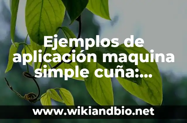 Ejemplos de aplicación maquina simple cuña: Definición según Autor, qué es, Concepto y Significado