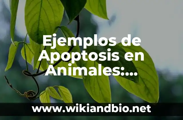 Ejemplos de Apoptosis en Animales: Definición según Autor, qué es, Concepto