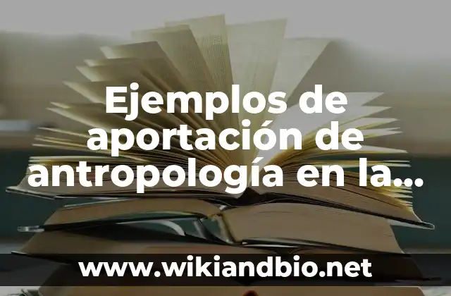 Ejemplos de aportación de antropología en la administración