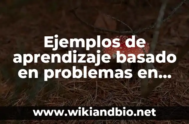 Ejemplos de aprendizaje basado en problemas en educación superior