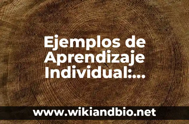 Ejemplos de Aprendizaje Individual: Definición según Autor, ¿qué es?
