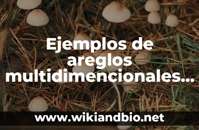 Ejemplos de areglos multidimencionales en Java: Definición según Autor, qué