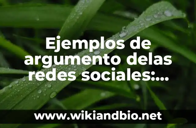 Ejemplos de argumento delas redes sociales: Definición según Autor, ¿qué es?