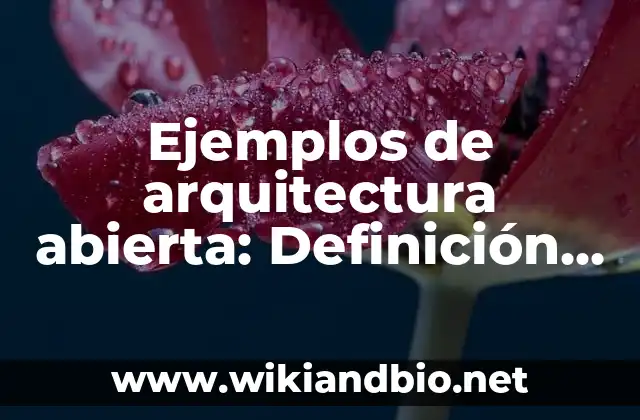 Ejemplos de arquitectura abierta