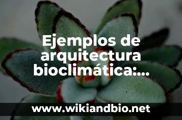 Ejemplos de arquitectura bioclimática