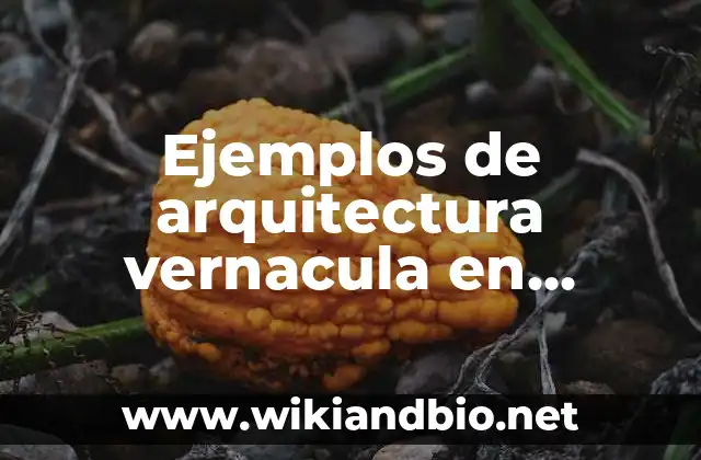 Ejemplos de arquitectura vernacula en Zacatecas: Definición según Autor