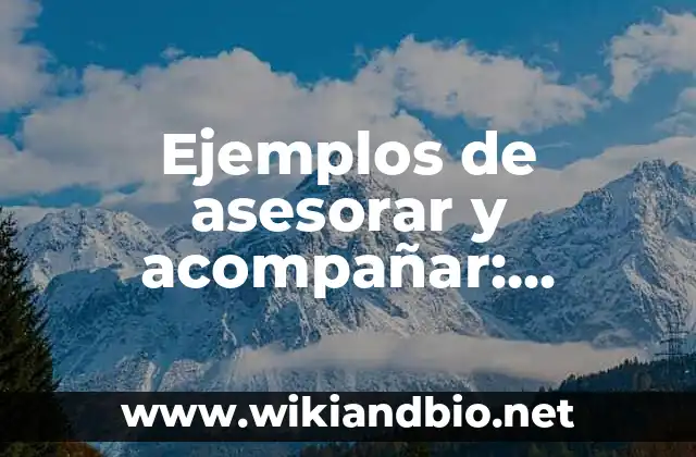 Ejemplos de asesorar y acompañar: Definición según Autor, qué es, Concepto y Significado