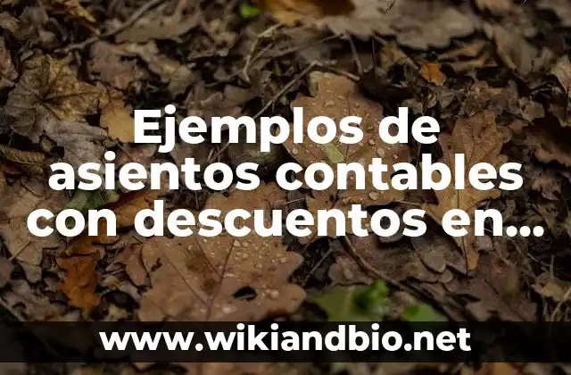 Ejemplos de asientos contables con descuentos en compras: Definición según
