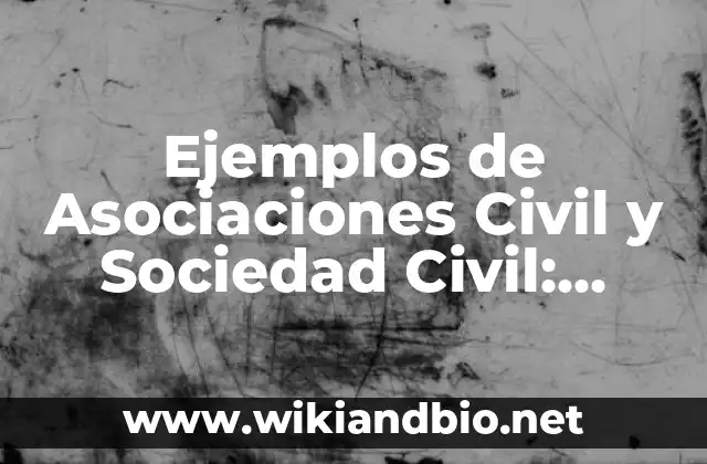 Ejemplos de Asociaciones Civil y Sociedad Civil