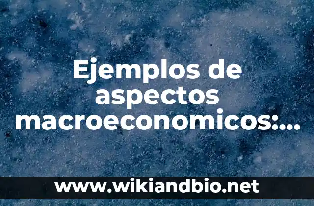 Ejemplos de aspectos macroeconomicos: Definición según Autor, ¿qué es?