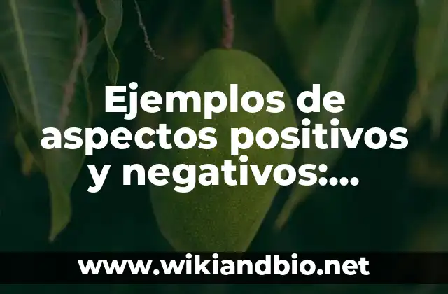 Ejemplos de aspectos positivos y negativos: Definición según Autor, ¿qué es?