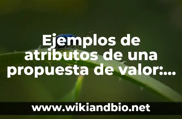 Ejemplos de atributos de una propuesta de valor: Definición según Autor