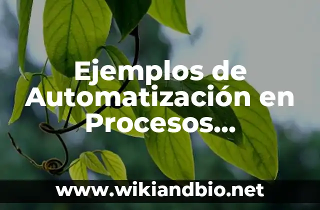 Ejemplos de Automatización en Procesos Industriales: Definición según