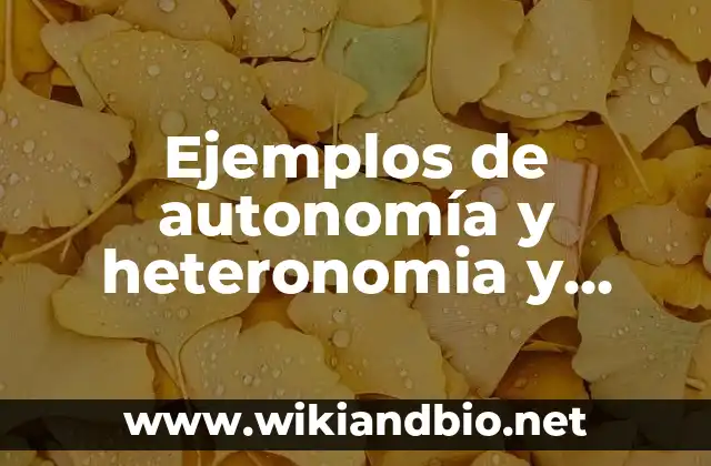 Ejemplos de autonomía y heteronomia y libertad: Definición según Autor, qué es, Concepto y Significado