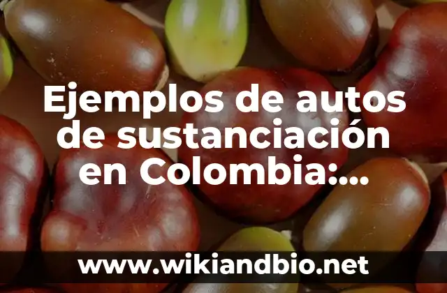 Ejemplos de autos de sustanciación en Colombia: Definición según Autor, qué