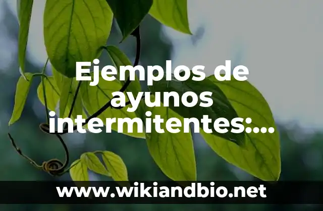 Ejemplos de ayunos intermitentes: Definición según Autor, qué es, Concepto y Significado