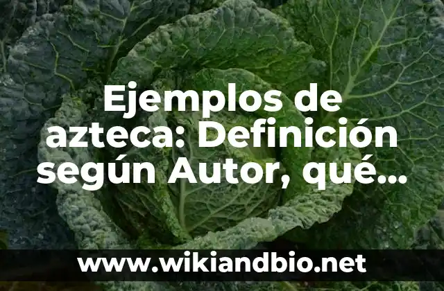 Ejemplos de azteca: Definición según Autor, qué es, Concepto y Significado