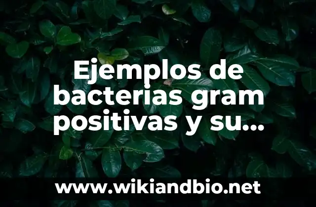 Ejemplos de bacterias gram positivas y su utilidad: Definición según Autor, qué es, Concepto y Significado
