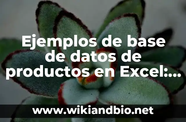Ejemplos de base de datos de productos en Excel: Definición según Autor