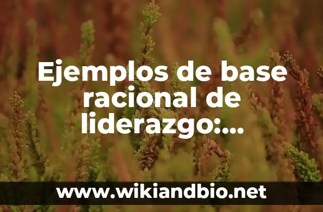 Ejemplos de base racional de liderazgo: Definición según Autor, ¿qué es?