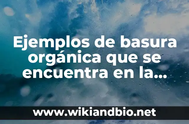 Ejemplos de basura orgánica que se encuentra en la casa: Definición según Autor, qué es, Concepto y Significado