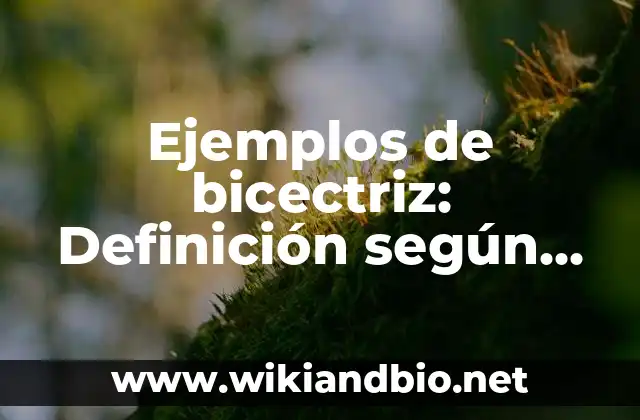 Ejemplos de bicectriz: Definición según Autor, qué es, Concepto