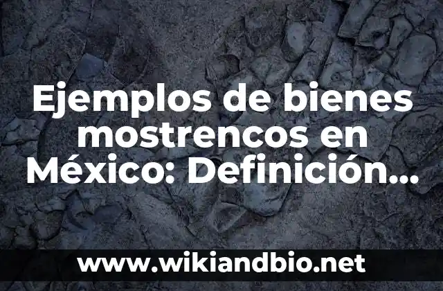 Ejemplos de bienes mostrencos en México: Definición según Autor, ¿qué es?