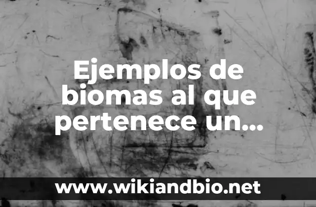 Ejemplos de biomas al que pertenece un ecosistema: Definición según Autor