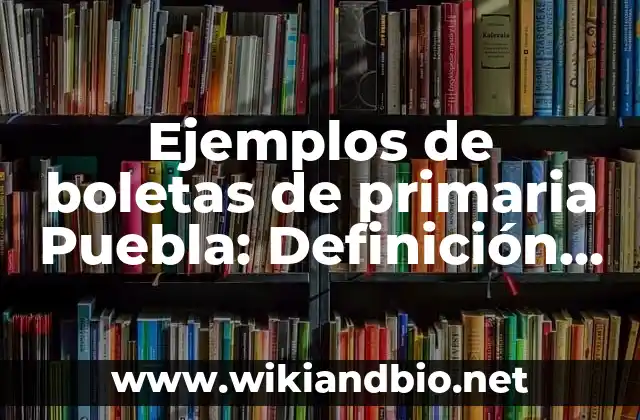 Ejemplos de boletas de primaria Puebla: Definición según Autor, ¿qué es?