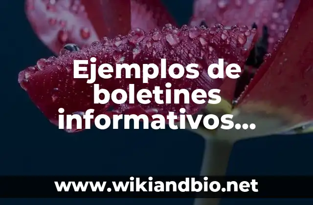 Ejemplos de boletines informativos deportes: Definición según Autor, qué