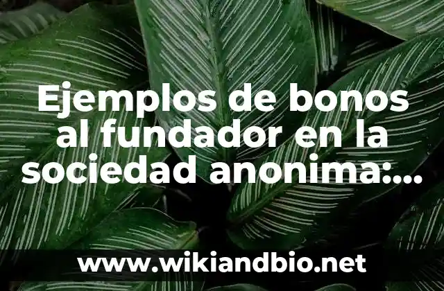 Ejemplos de bonos al fundador en una sociedad anonima