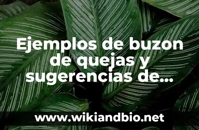 Ejemplos de buzon de quejas y sugerencias de clientes: Definición según